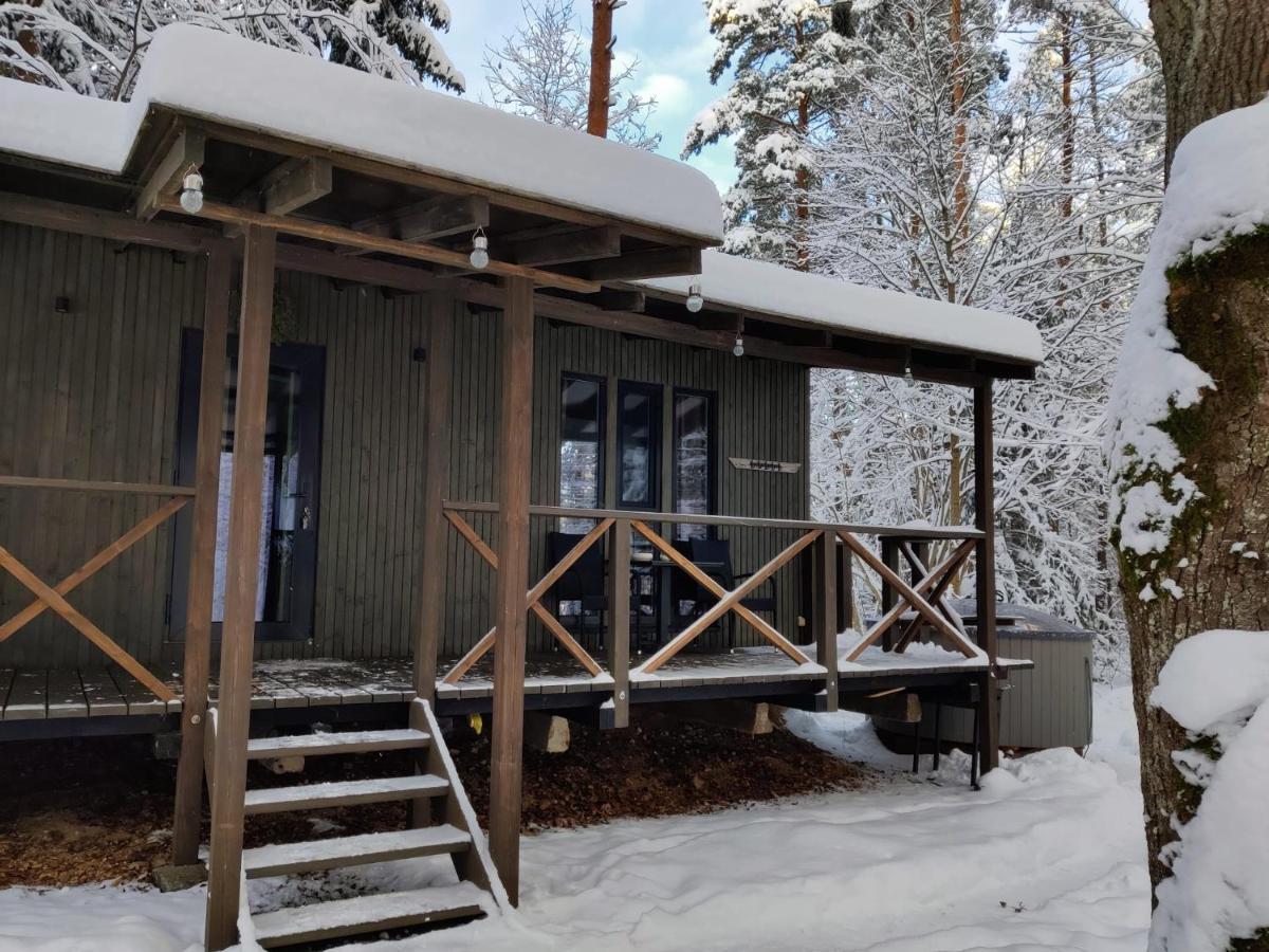 Holiday home Meza Maja Zakumuiza