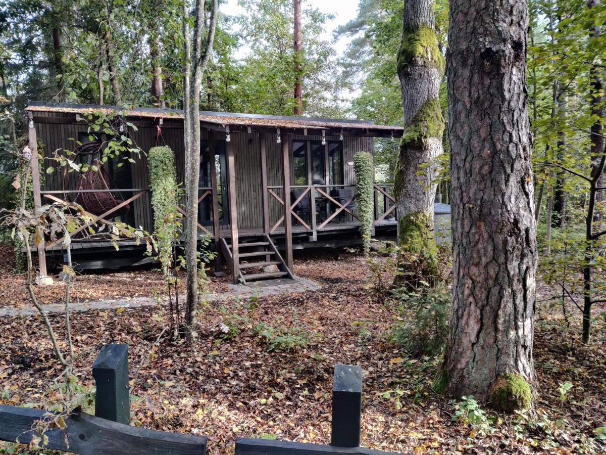 Meza Maja Holiday home *